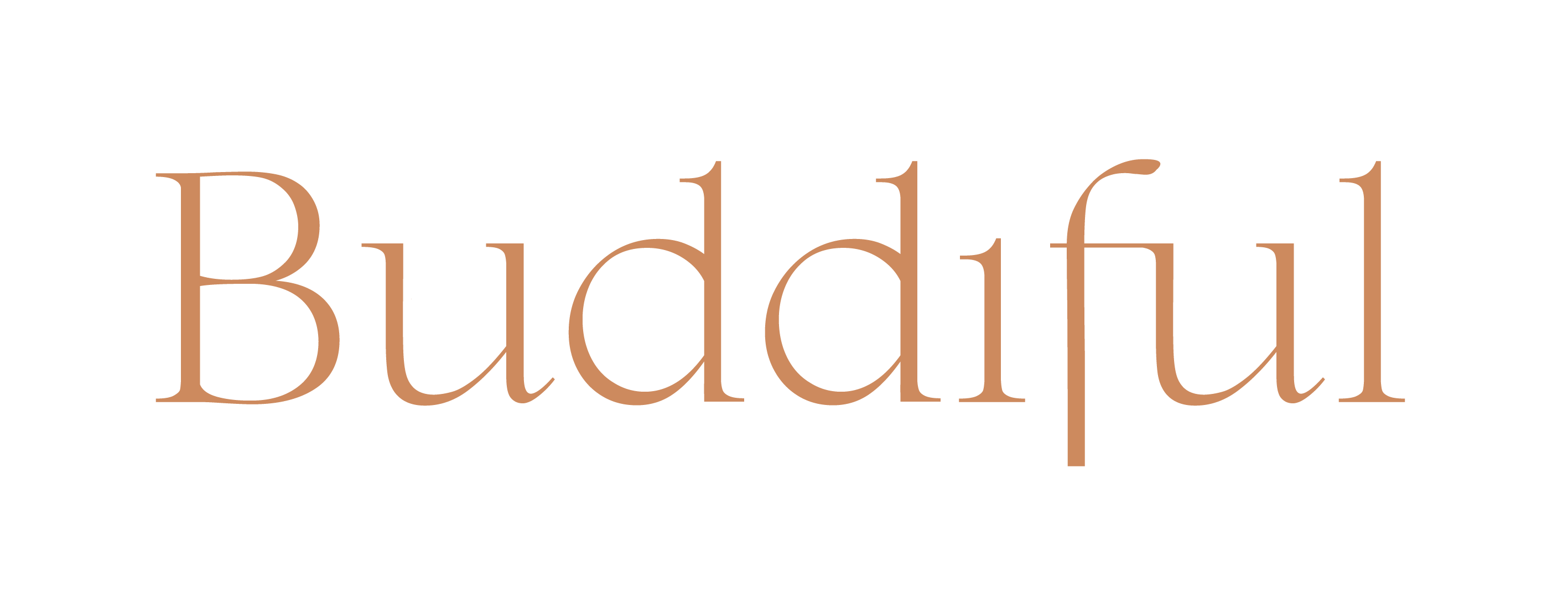 Buddiful – Leefstijlbegeleiding voor bijzondere mensen